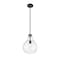 Z-Lite Bon Air Pendant, 1-Light, 10 In.W x 13.75 In.H, Matte Black/Clear 496P10-MB - alternate 3